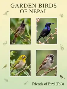 Article image 2 Friends of Bird